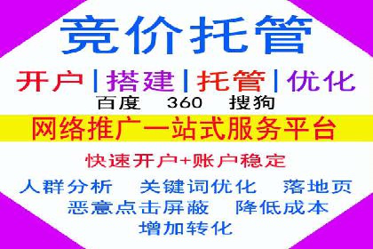 成功案例：sem竞价托管的智慧与策略